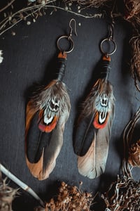 Image 5 of Feather earrings 
