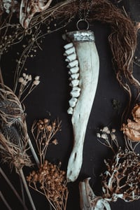 Image 1 of Deer jaw necklace 