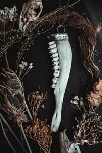Image 2 of Deer jaw necklace 