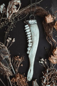 Image 3 of Deer jaw necklace 