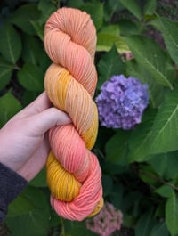 Sherbert Sparkle-last one!