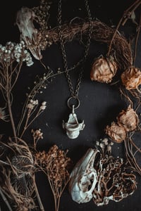 Image 1 of Simple vertebra necklace