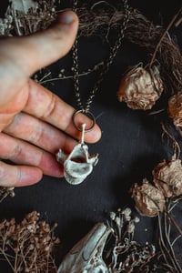 Image 4 of Simple vertebra necklace