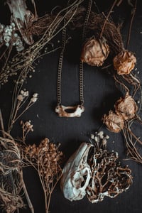 Image 1 of Simple bone necklace