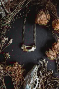 Image 4 of Simple bone necklace