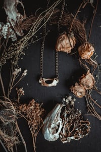 Image 6 of Simple bone necklace
