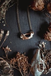 Image 8 of Simple bone necklace