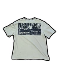 Image 2 of Angel of Tranquility