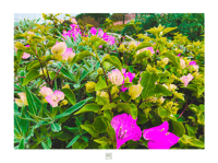 LAY ME DOWN TO SLEEP