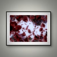 Image 3 of 'Red Swirling'