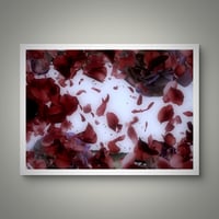 Image 2 of 'Red Swirling'