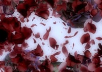 Image 1 of 'Red Swirling'