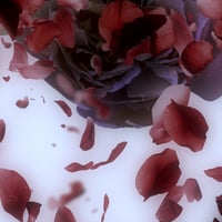 Image 4 of 'Red Swirling'