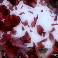 Image 5 of 'Red Swirling'