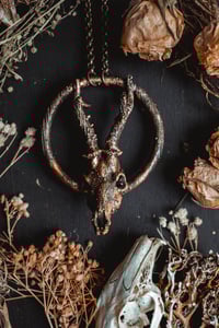 Image 1 of Copper Roe Deer