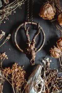 Image 7 of Copper Roe Deer