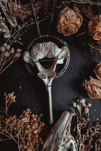 Image 3 of Vertebra necklace 