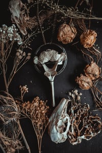 Image 1 of Vertebra necklace 