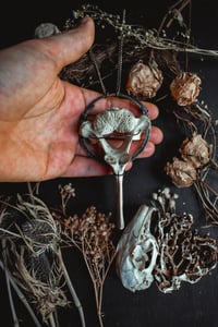 Image 7 of Vertebra necklace 