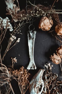 Image 1 of Bone charm