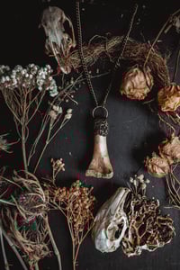 Image 1 of Clay and bone