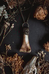 Image 2 of Clay and bone