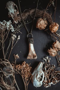 Image 3 of Clay and bone