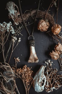 Image 4 of Clay and bone
