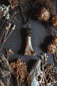 Image 5 of Clay and bone