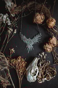 Image 4 of tragedy bird