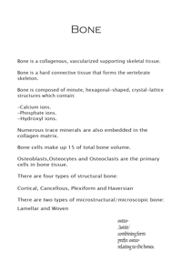 Image 4 of Osteo