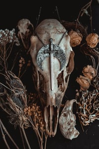Image 1 of sword in the moon