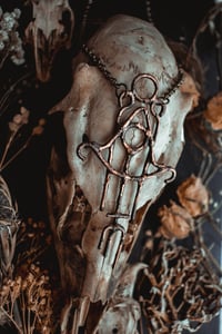 Image 6 of Worn Ward 