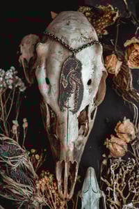 Image 1 of Wolf Skull etched brass necklace