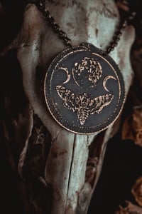 Image 2 of moth and moon