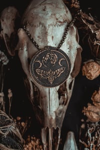 Image 3 of moth and moon