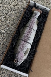 Image 1 of Immortal Trout  11 “Gold Back Trout”