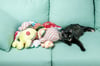 Handmade Plush Frogs