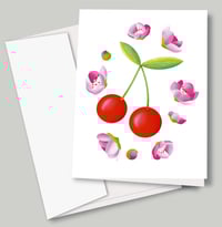Image 1 of Postcard 4