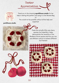 Image 5 of Blueberry Grove Granny Square Pattern - DIGITAL PDF INSTRUCTIONS 