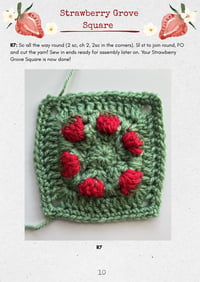 Image 3 of Strawberry Grove Granny Square Pattern - DIGITAL PDF INSTRUCTIONS 