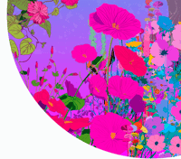 Image 2 of In Stillness, Flowers