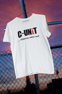 Image 2 of C-UNiT  ... slippery when wet