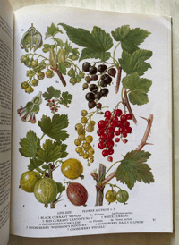 Image 5 of The Oxford Book of Food Plants