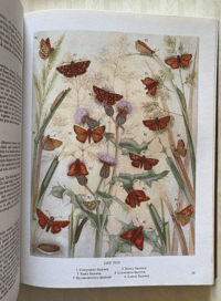 Image 4 of The Oxford Book of Insects