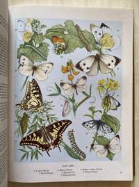 Image 5 of The Oxford Book of Insects
