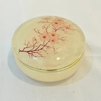 Image 1 of Grande Boîte à bijoux ronde en albâtre avec fleurs de cerisier rose - vintage 1970s