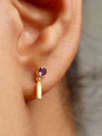 Image 1 of Mini puces #11