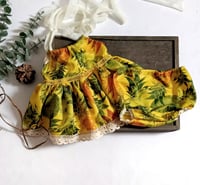 Image 3 of Sitter set for photo shoots | Naya | age 9-12 months 