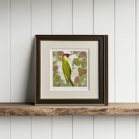 Image 1 of GREEN WOODPECKER ART PRINT